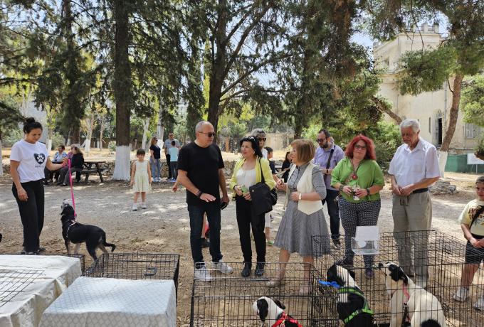 Ημέρα αφιερωμένη στην υιοθεσία αδέσποτων ζώων από τον Δήμο Ηρακλείου Αττικής