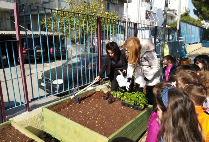 Μικροί λαχανόκηποι μέσα στα σχολεία: μια πρωτοβουλία του Δήμου Ηρακλείου Αττικής για τα παιδιά